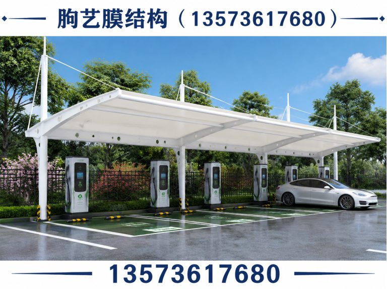 诸城市膜结构车棚展示图